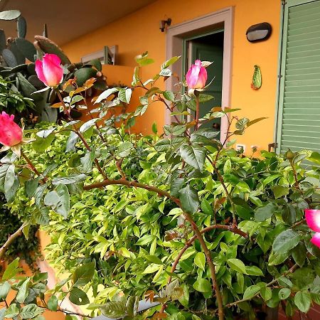 Bed and Breakfast Casa Marta Масса Екстер'єр фото